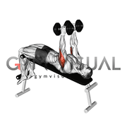 Dumbbell Decline Triceps Extension