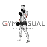 Db Hammer Curls