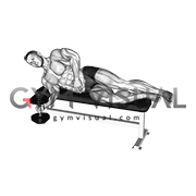 Dumbbell Lying Supination