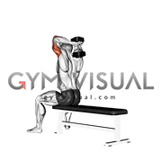 Dumbbell Seated Bench Extension