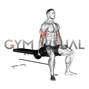 Dumbbell Seated Curl