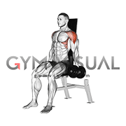 Dumbbell Seated Lateral Raise (VERSION 2)