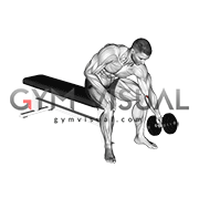 Dumbbell Seated One Arm Rotate