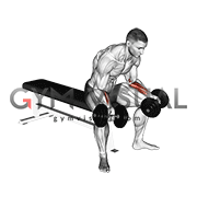 Dumbbell Seated Palms Up Wrist Curl