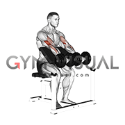 Dumbbell Seated Preacher Curl