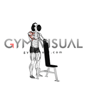 Dumbbell Standing One Arm Palm In Press