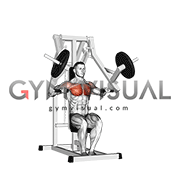 Lever Chest Press (plate loaded)