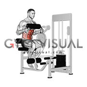 Lever Seated Crunch (chest pad)