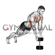 Push Up Close grip off Dumbbell