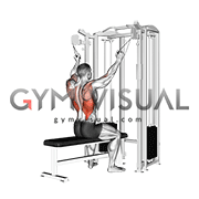 twin handle parallel grip lat pulldown