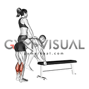 Weighted Donkey Calf Raise