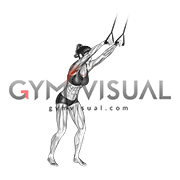 Band straight best sale arm lat pulldown