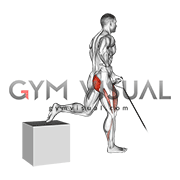 Band One Arm Single Leg Split Squat