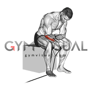 Band reverse wrist curl