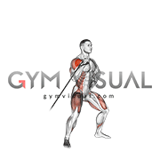 Band twisting overhead press