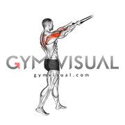 Band standing rear delt row