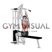 Cable Close Grip Front Lat Pulldown