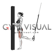 Suspender Single Leg Split Squat (self assisted)