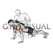 Assisted Weighted Push up