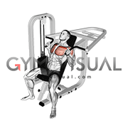 Lever Incline Hammer Chest Press
