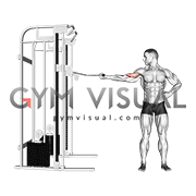 Cable one arm inner biceps curl
