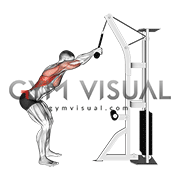 Cable Standing Lat Pushdown (rope equipment)