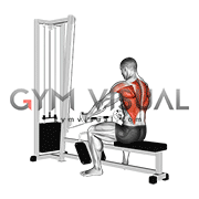 Cable Seated Row (Bent bar)