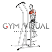 Chest Dip (on dip-pull-up cage)