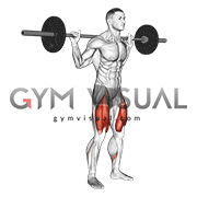 Barbell Low Bar Squat