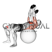 Dumbbell Lying Pullover on Exercise Ball