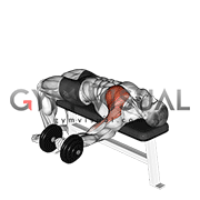 Dumbbell One Arm Bench Fly