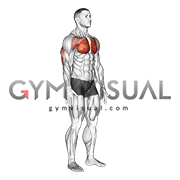 Chest sales squeeze workout
