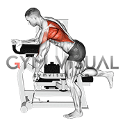 Lever Unilateral Row
