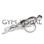 Exercise Ball Back Extension With Knees Off Ground