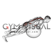 Exercise Ball Back Extension With Rotation