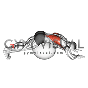 Exercise Ball Lower Back Stretch (Pyramid)