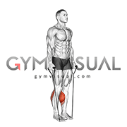 Band Two Legs Calf Raise - (Band under both legs) VERSION 2