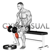 Dumbbell Seated One Leg Calf Raise - Palm up
