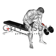 Dumbbell One Arm Seated Neutral Wrist Curl