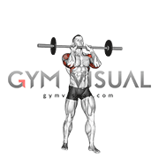Barbell Standing Close Grip Military Press