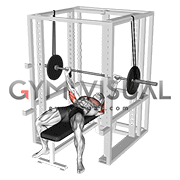 Barbell Reverse Band Bench Press