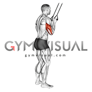 Band Pushdown (Male)