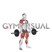 Barbell Hang Snatch
