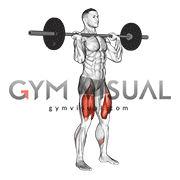 Barbell Jerk Dip Squat