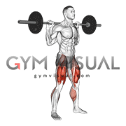 Barbell Olympic Squat