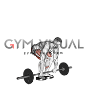 Barbell Romanian Deadlift From Deficit