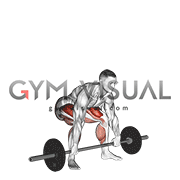 Barbell Snatch Deadlift