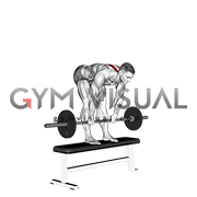Barbell Stiff Leg Deadlift on Bench