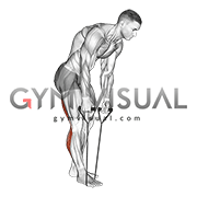 Standing Hamstring and Calf Stretch with Starp