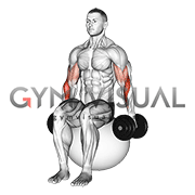 Dumbbell Hammer Curl on Exercise Ball